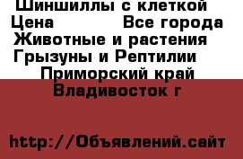 Шиншиллы с клеткой › Цена ­ 8 000 - Все города Животные и растения » Грызуны и Рептилии   . Приморский край,Владивосток г.